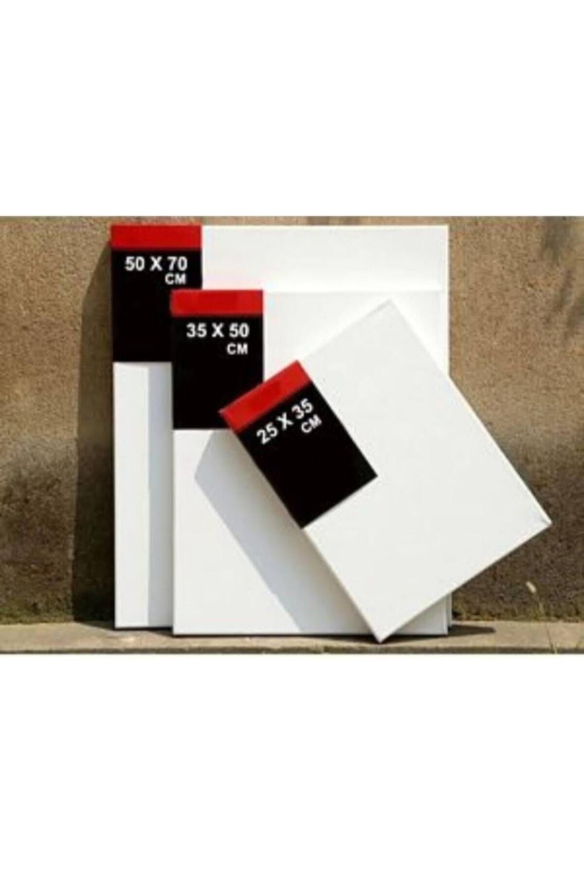 Tuval Germe Marka Profesyonel Sanatçı Tuvali 50cm X70cm 2'li Paket