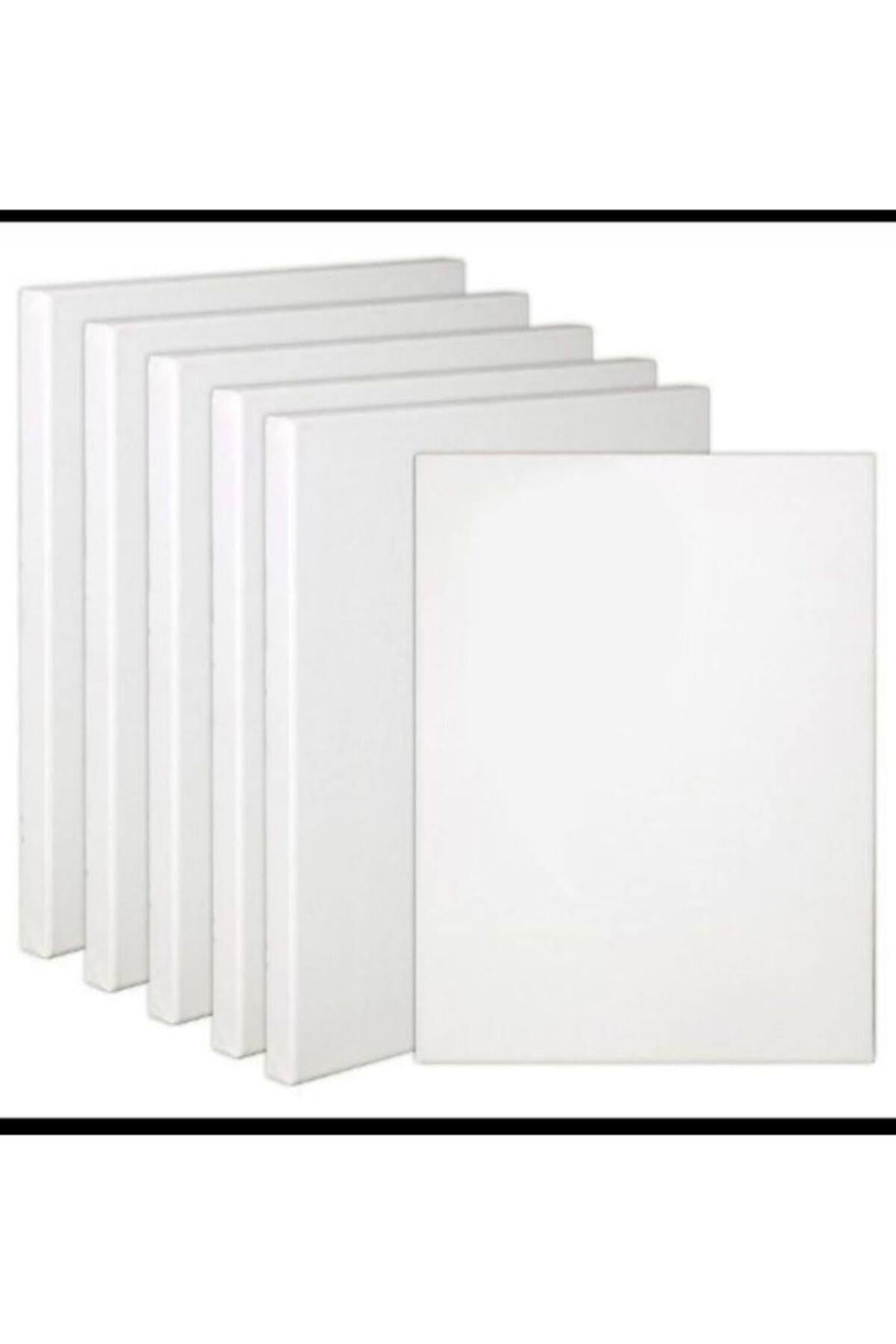 Tuval Germe Profesyonel Sanatçı Tuvali 35cmx50cm 2'li Paket