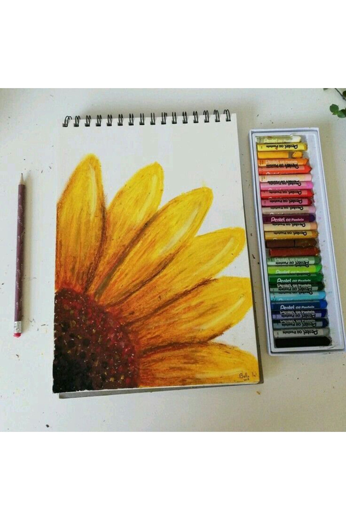A5 Pastel Çizim Defteri Çizim Defteri